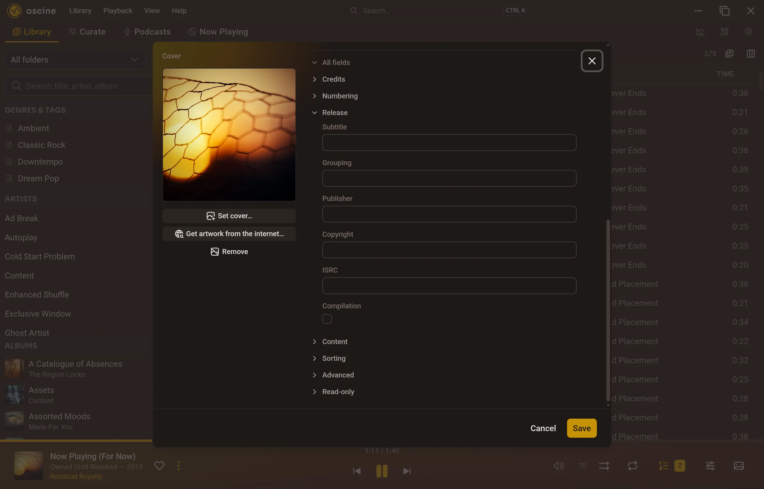 A tag editor window open on a track, with the Release fields expanded under All fields.