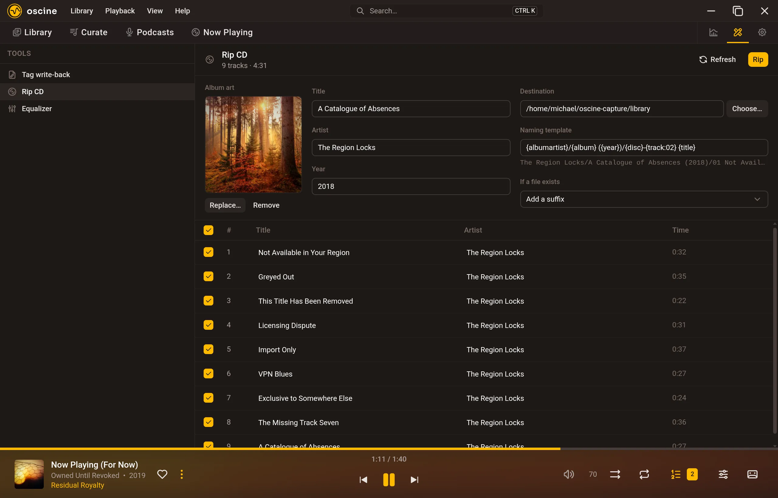 A CD rip screen with the matched release, its cover, a file naming template, and the track list.